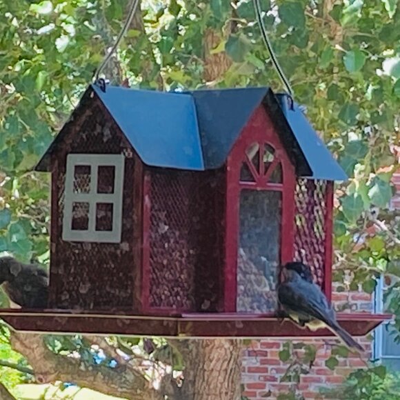 Metal bird feeder house - Picture 4 of 8
